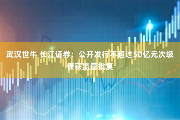 武汉世牛 长江证券：公开发行不超过50亿元次级债获监管批复
